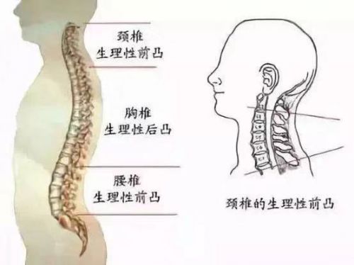 微信图片_20181218164522.jpg