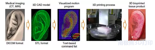 了解生物3D打印，从这篇文章开始