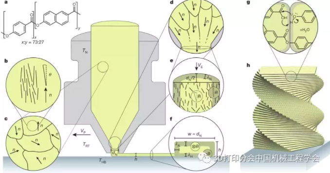 高强轻质结构制造新方法—分级3D打印液晶聚合物